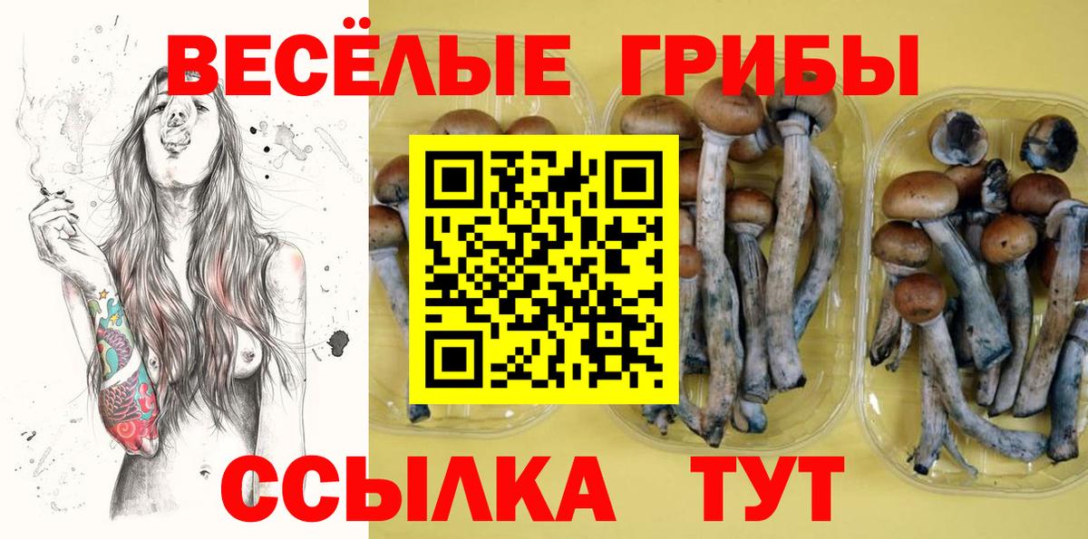 Тула  Галлюциногенные грибы прущие грибы  Вход с VPN 